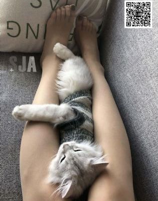 欧美最火女超模写真集_HD免费观看
